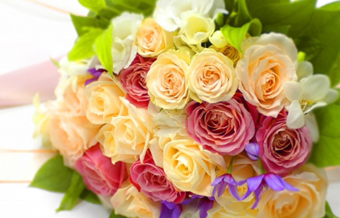 女性部イメージ