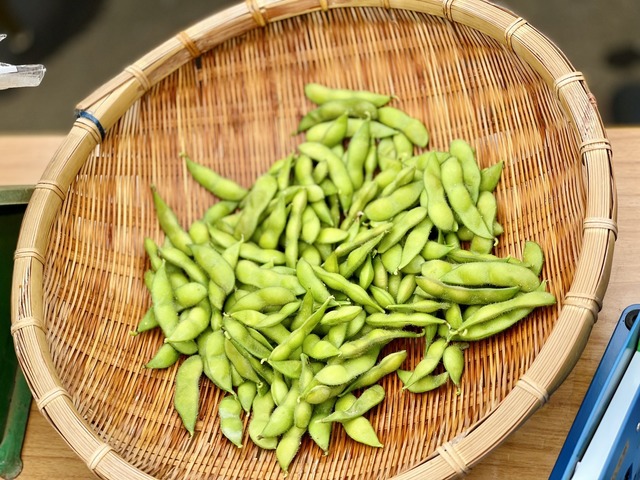 枝豆
